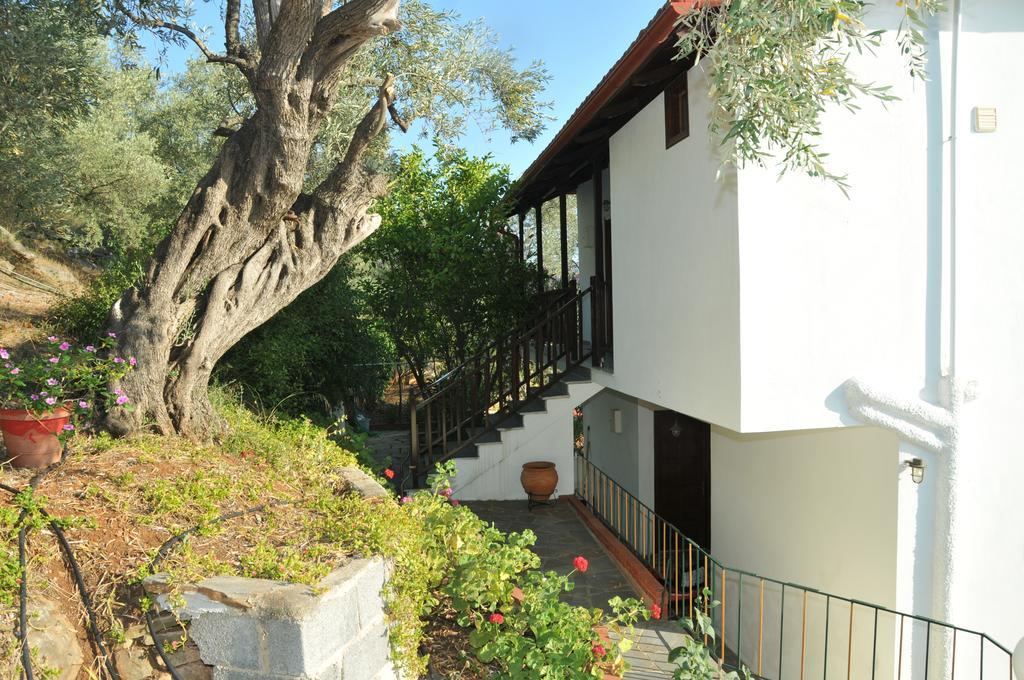Violetta Studios & Apartments Милина Екстериор снимка